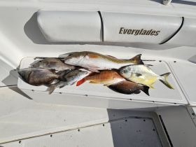 Mixed bag for dinner 