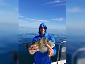 First trigger fish
