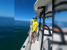 Cobia for dinner. 