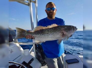 Live Action Charters thumbnail