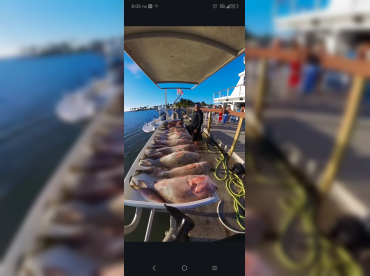 Through The Guides thumbnail