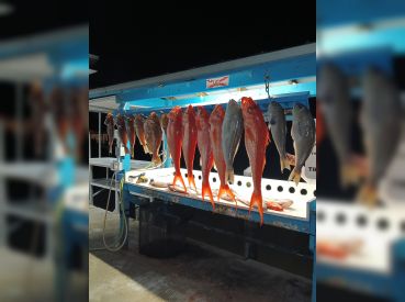 Through The Guides thumbnail