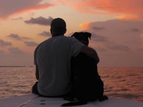 Man’s best friend