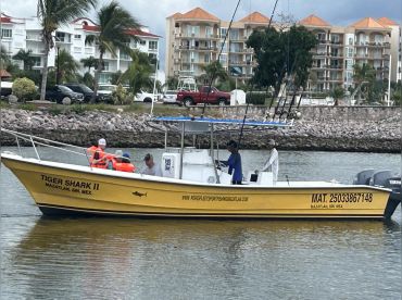 Pepe's Fleet – Tiger Shark II thumbnail