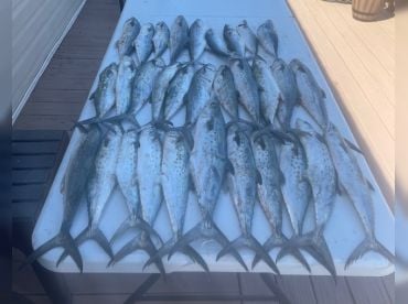 Wicked East Charters