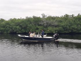 Charter Image