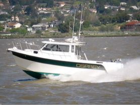 Osprey Fishing Charters - SF Bay