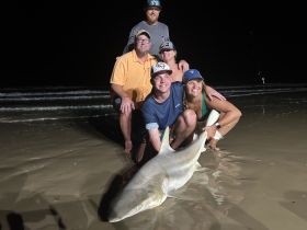Charter Image