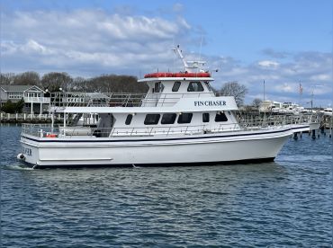 Fin Chaser thumbnail