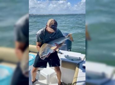 Wildfish Adventures thumbnail