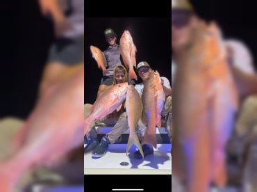 Anna Maria Charter Fishing