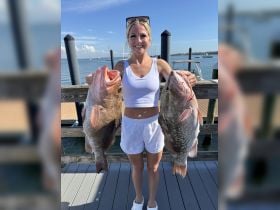 FISH AMI - EST: 2016 - RED SNAPPER EXPRESS!