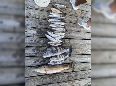 Tidewater Fishing Service thumbnail