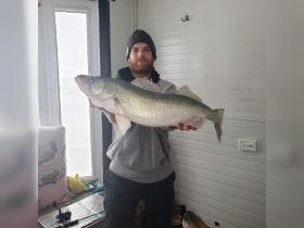 "The Walleye"