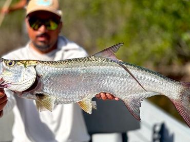 Capt Tayo The Epic – Caye Caulker