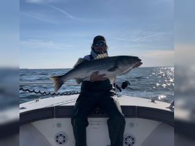 Charter Image