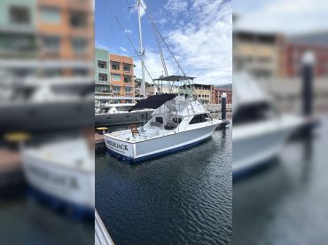 Amberjack by Amberjack Sportfishing thumbnail