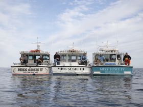 Miss Susie II, III & IV w/ their crews