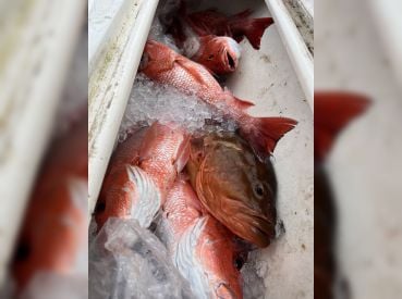 Scale Time Fishing Charters LLC thumbnail