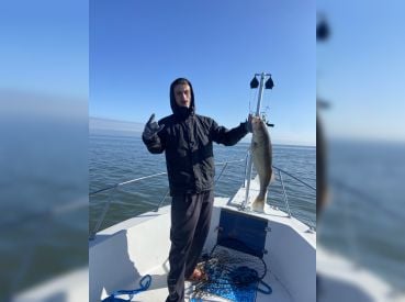 De-Bait-Able Fishing Adventures thumbnail