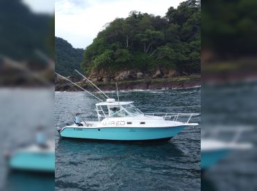 Wired Sportfishing thumbnail