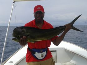 Charter Image