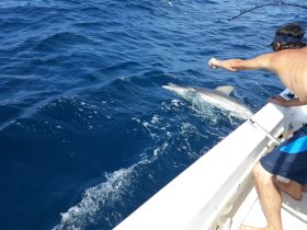 Charter Image