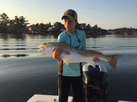 Middle Bay Fishing Charters