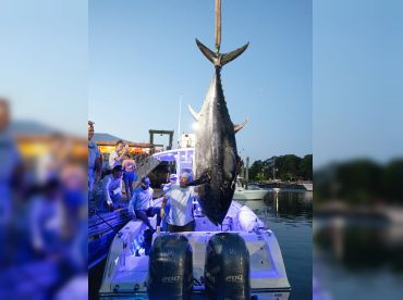 Jimmy Rig Charters thumbnail