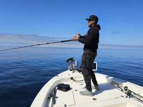 Specializing in artificial lure fishing
