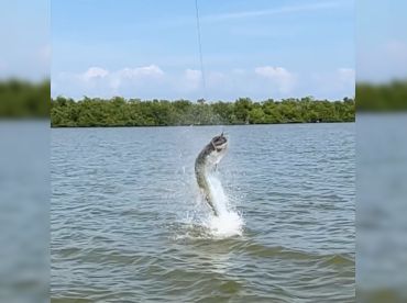 Trophy Time Charters and More thumbnail