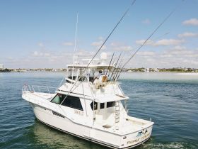 Charter Image