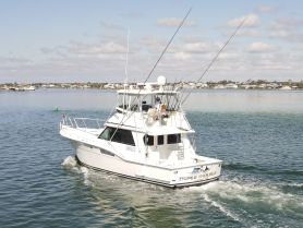 Charter Image