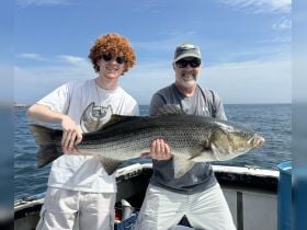 Charter Image