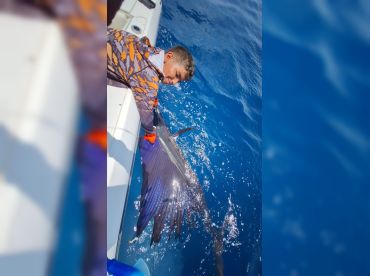 Skipjack by Amberjack Sport Fishing thumbnail