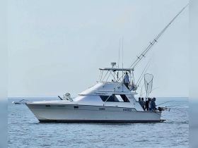 Fishing Charters In Niagara