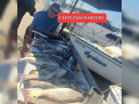 Captain Leo's Fish'n Charters