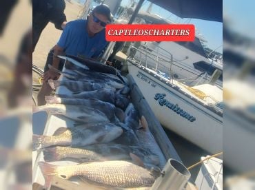 Captain Leo's Fish'n Charters thumbnail