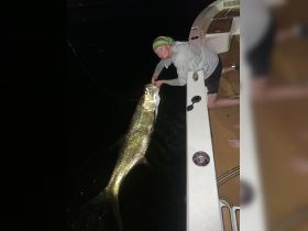 Charter Image
