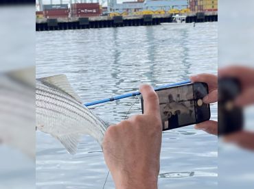 Eidolon Sport Fishing thumbnail