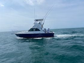 Charter Image