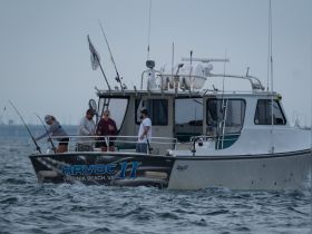 Charter Image