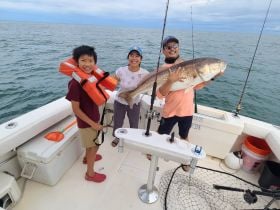 Red Drum 