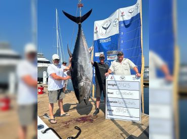 Tuna Maine Charters thumbnail