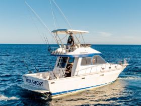 Charter Image