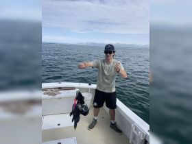 Three sea bass on one line!