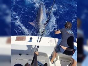 Charter Image