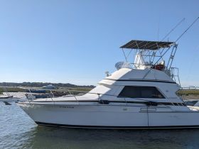 Charter Image