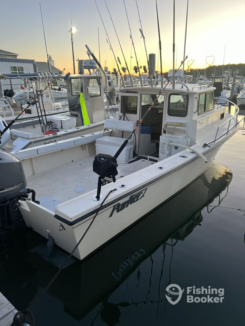 Boat Image