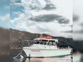 Charter Image